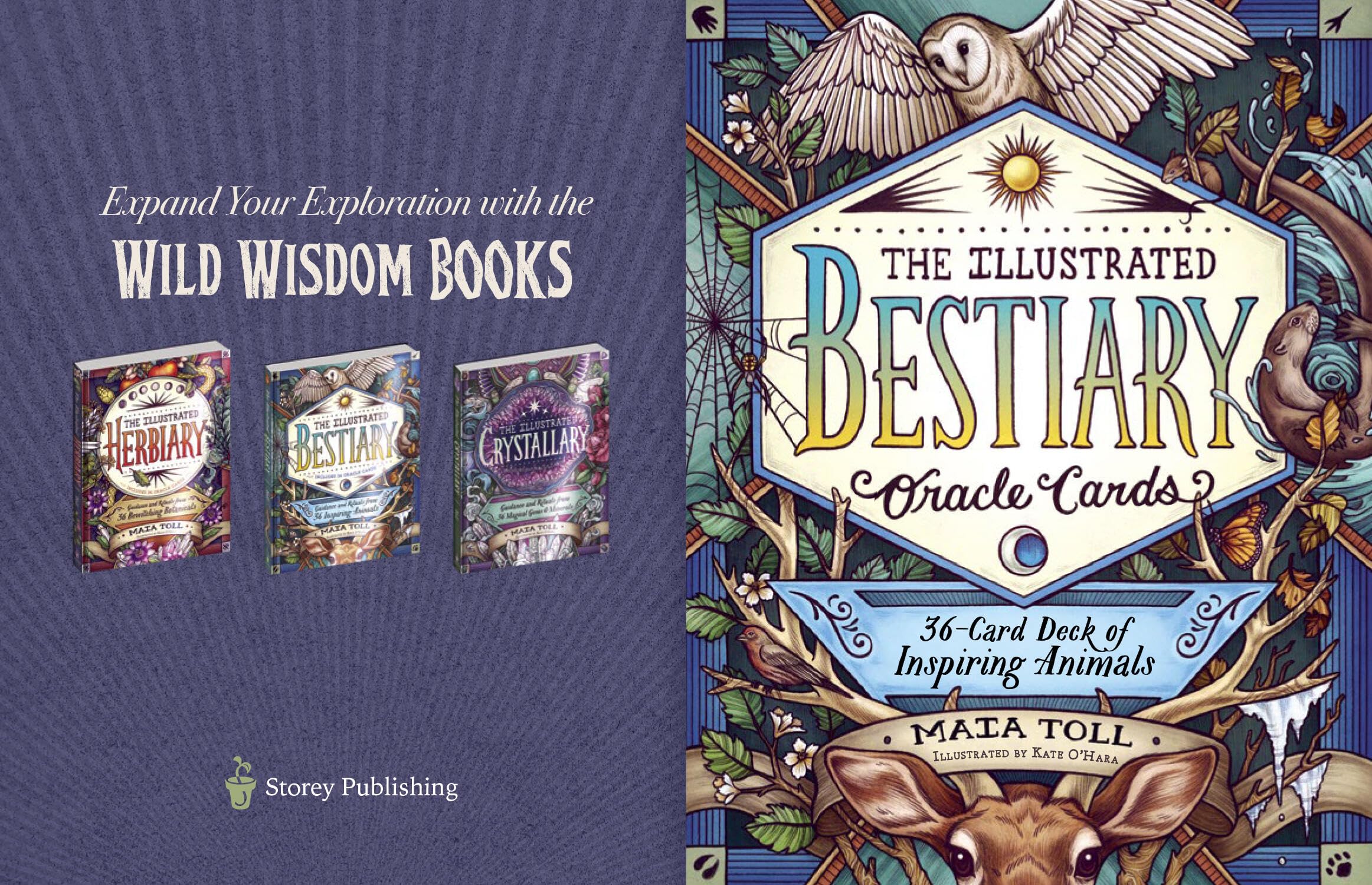 The Illustrated Bestiary Oracle Cards - 36-Card Deck of Inspiring Animals for Divination & Guidance | Wild Wisdom Oracle Deck for Meditation, Spiritual Growth & Intuitive Readings