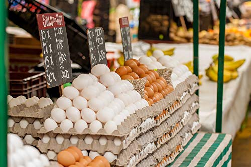20x30 Inch Laminated Egg Market Poster - Vibrant Colors & High-Quality Print - Perfect for Kitchen Decor, Cafe Wall Art & Home Office Display