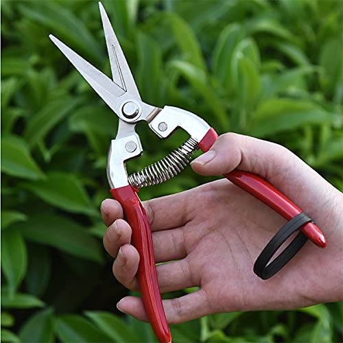 Premium Garden Shears - Professional Pruning Shears for Plants, Flowers & Grape Picking | Heavy Duty Gardening Shears with Comfort Grip | Perfect for Home Garden, Landscaping & Vineyard Use