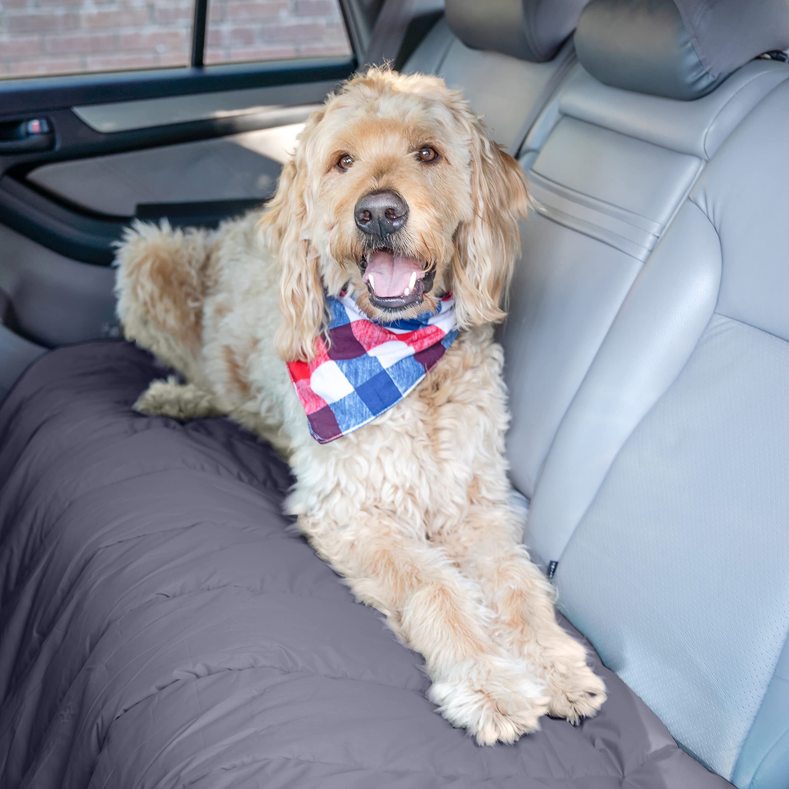 **Bom Garoto Waterproof Portable Pet Mat - 46.5 x 33 Inch Dog & Cat Bed for Crates, Cages, Camping & Travel - Soft Mat for Medium & Small Dogs with Storage Carry Bag - Perfect for Home, Outdoors & Road Trips**