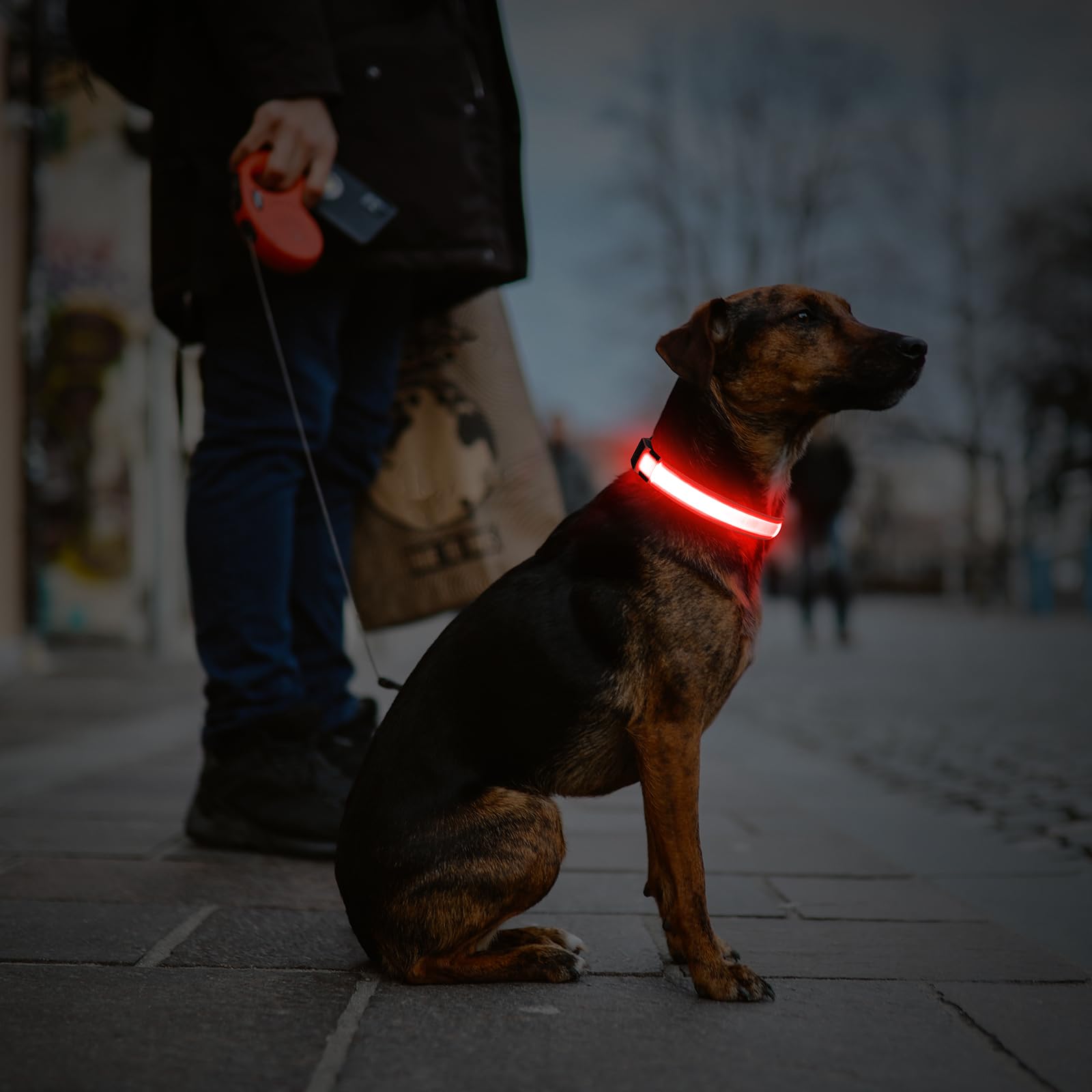 **Illumifun USB Rechargeable LED Dog Collar – Flashing & Glowing Safety Light for Night Walks – Waterproof & Adjustable (Red, X-Large) – Perfect for Nighttime Dog Walking, Jogging, and Outdoor Adventures**