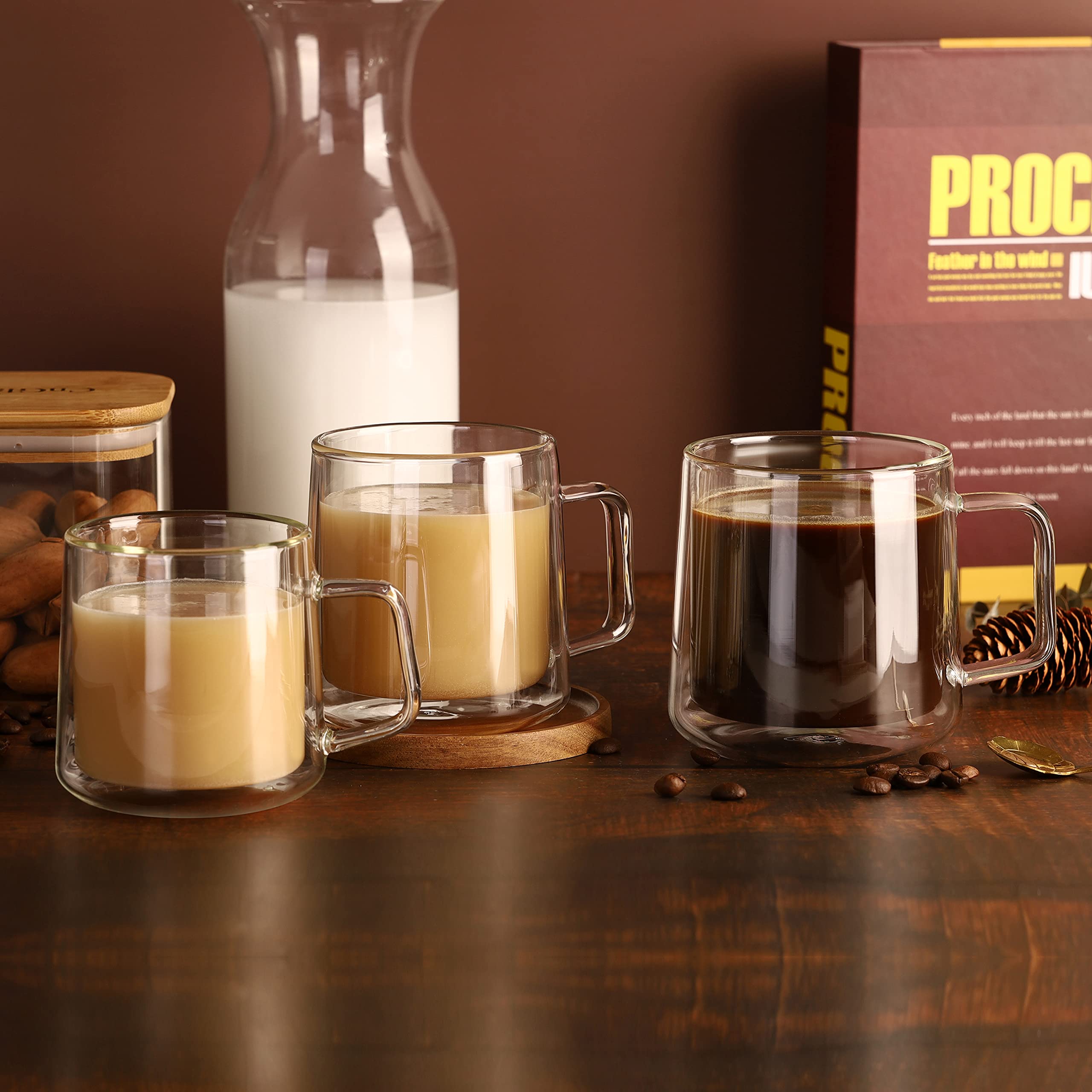 CNGLASS Double Wall Insulated Glass Coffee Mug 15.2oz (450ml) - Clear Espresso Cup with Handle - Perfect for Hot & Cold Beverages - Ideal for Home, Office or Cafe Use