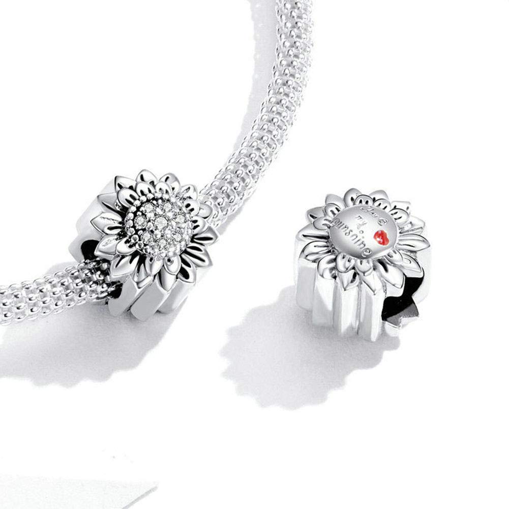 925 Sterling Silver Smile Charm for Pandora Bracelets - Healthy Teeth Pendant, Family Love Birthday Gift Jewelry for Women - Perfect for Everyday Wear & Special Occasions
