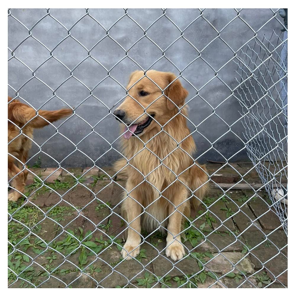 Galvanized Chicken Wire Mesh Fence 2mm Diameter - 1.2x30m Poultry Netting for Chicken Coop, Rabbit Hutch, Dog & Cat Enclosure, Vegetable Garden Protection (Silver) - Durable Outdoor Animal Fencing Solution