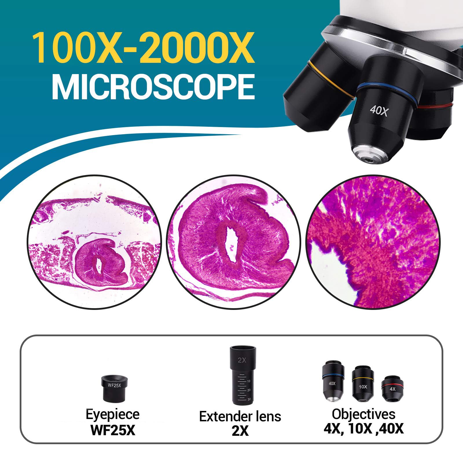 USCAMEL 40X-2000X Professional Compound Microscope for Adults, Students & Kids - Biological Microscope with Slides Set & Phone Adapter - Perfect for School Labs, Home Education & STEM Learning Activities