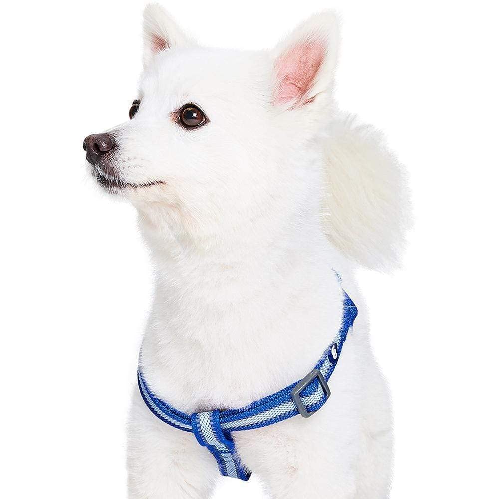 Blueberry Pet Essentials Step-in Reflective Dog Harness - Adjustable Small Navy Blue Dog Vest (16.5