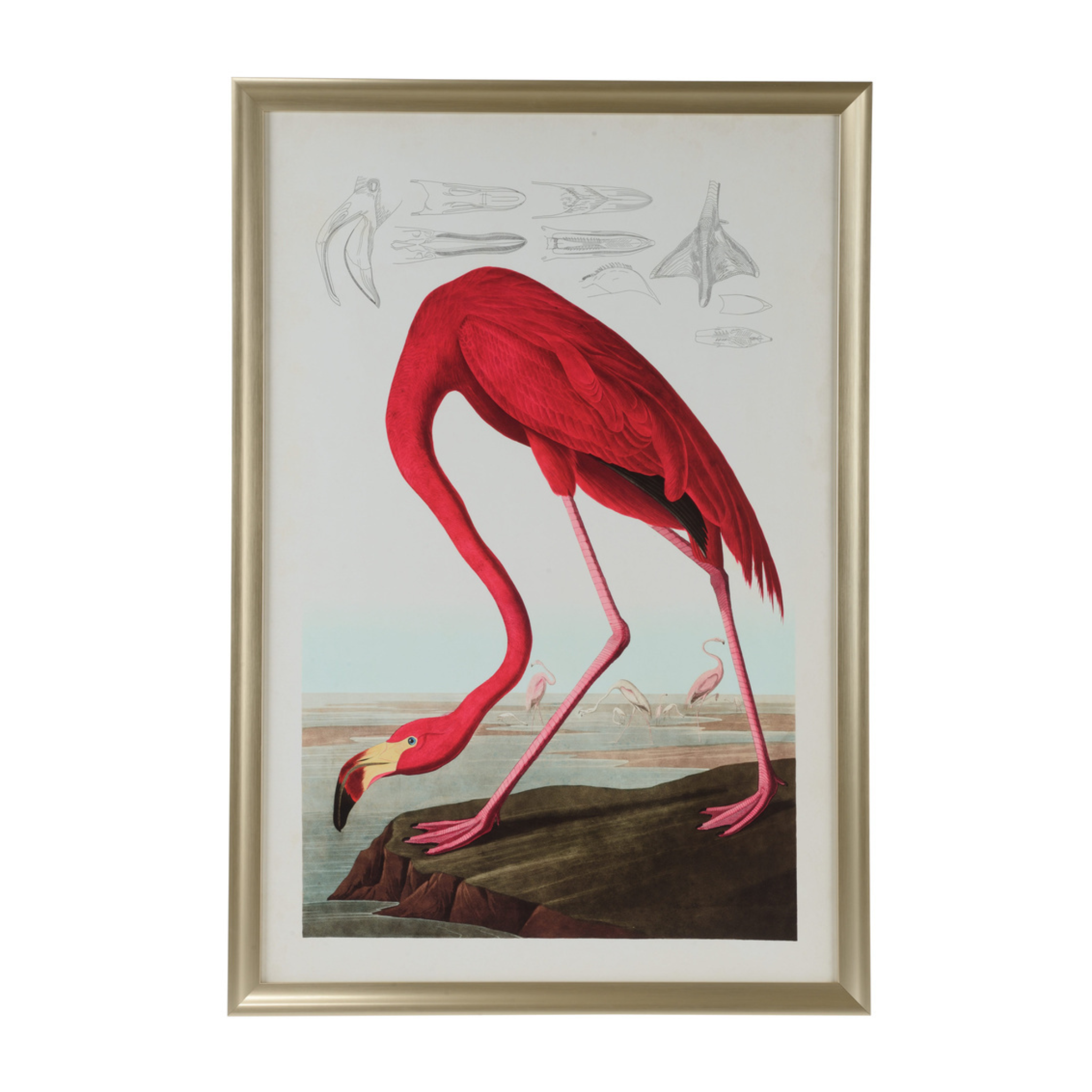 American Flamingo Giclee Print Wall Art - Tropical Home Decor, Living Room & Bedroom Wall Hanging - Premium Canvas Artwork for Beach House & Boho Style Interiors
