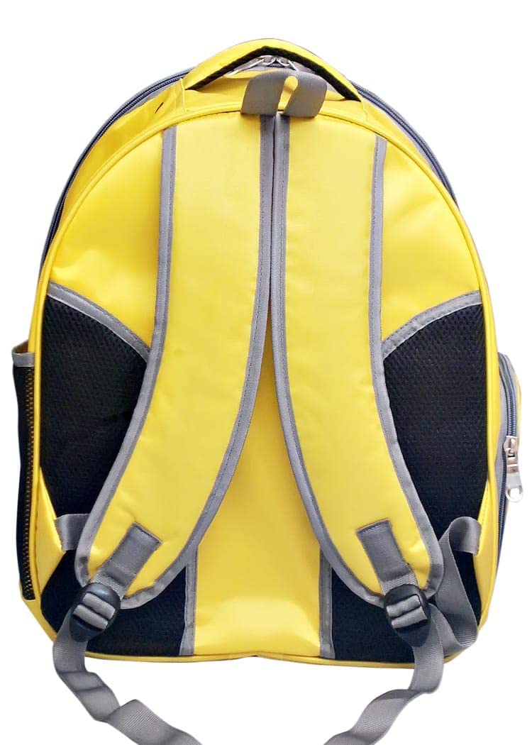 PSK PET MART Airline Approved Pet Carrier Backpack - 17×13×11 Inch Transparent Cat & Small Dog Travel Carrier with Breathable Ventilation - Perfect for Air Travel, Vet Visits & Outdoor Adventures (Yellow)