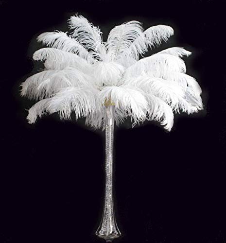 100 Pcs Premium Ostrich Feathers 15-18
