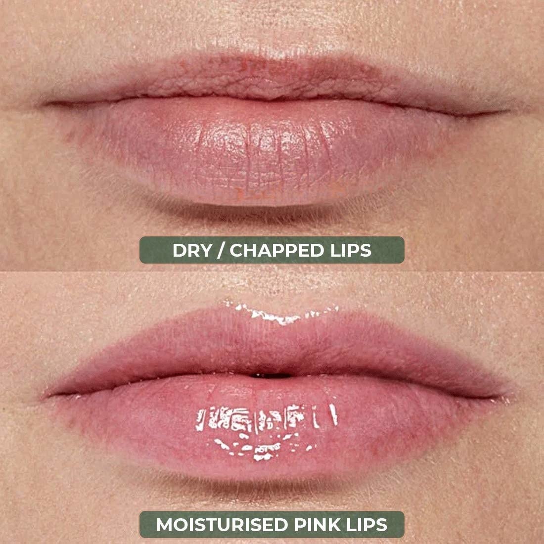 Blush Bunny Organic Lip Balm Pack of 2 - Nourishing Nude Natural Lip Care with Shea Butter, Cocoa Butter, Vitamin E & Coconut Oil for Dry, Chapped & Dark Lips (Sweet Orange & Chocolate Flavors) | Perfect for Daily Hydration, Gift Sets & On-The-Go Lip Care