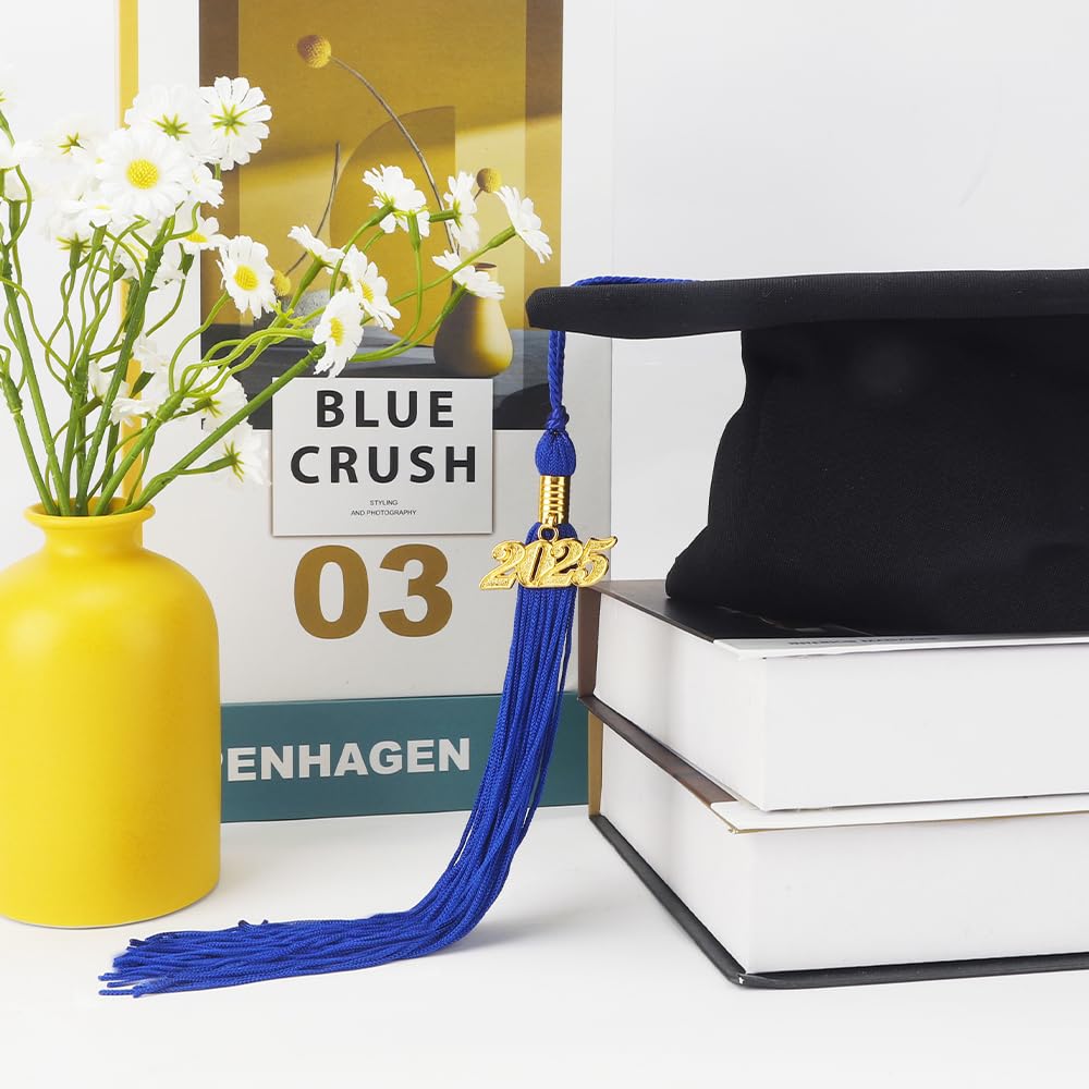 2025 Graduation Tassel with Gold Charms - Class of 2025 Cap Tassel for Graduation Ceremony - Blue Commencement Accessory for High School & College Graduates - Perfect for Photos & Yearbook Signing