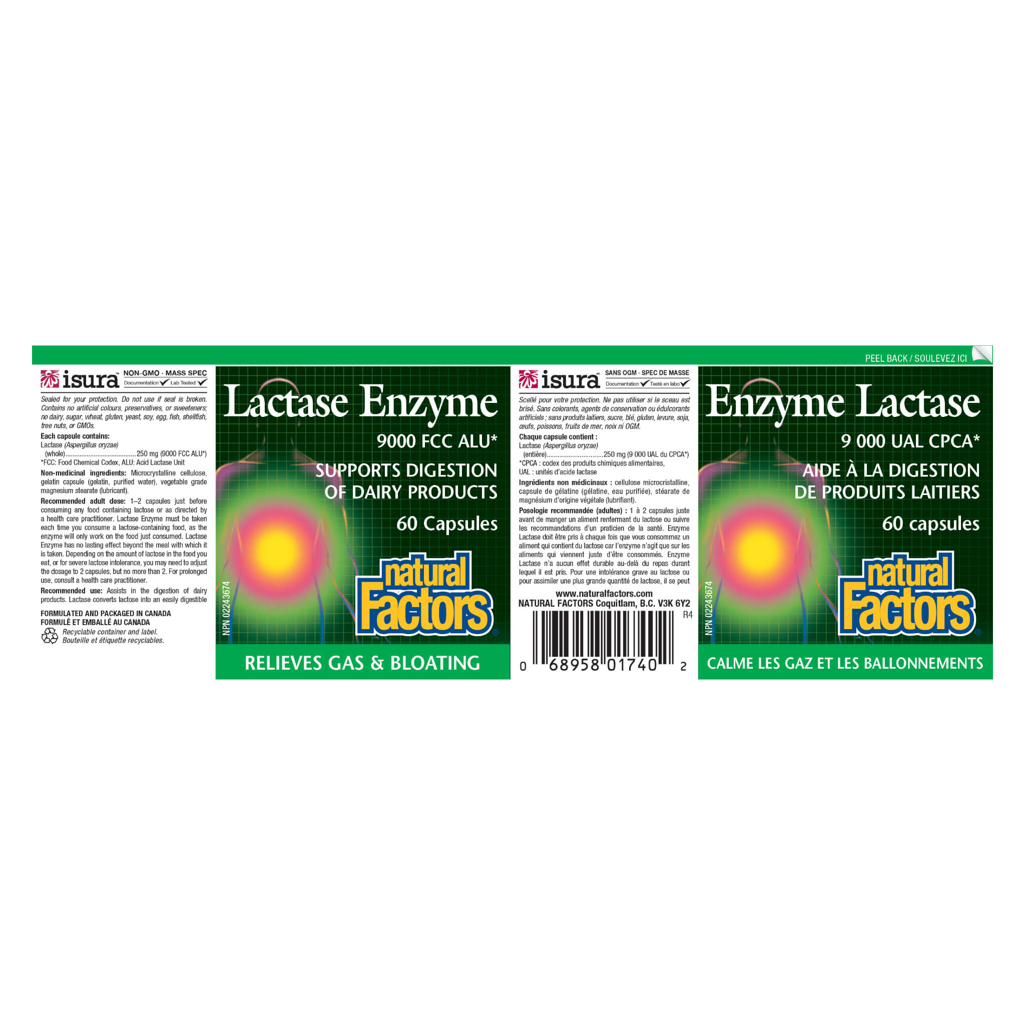 Lactase Enzyme Supplement - 60 Capsules for Lactose Intolerance Relief | Supports Dairy Digestion for Adults & Kids | Perfect for Meals, Travel & Daily Comfort