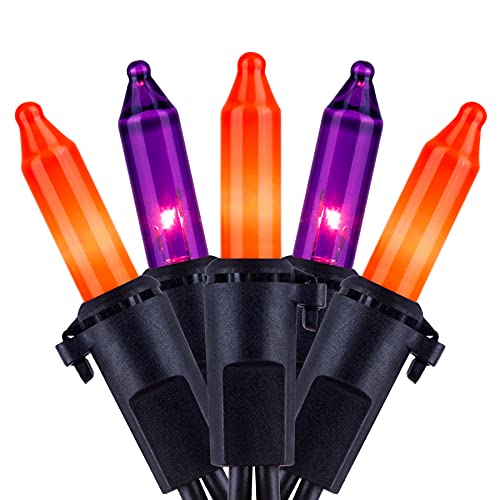 Orange & Purple