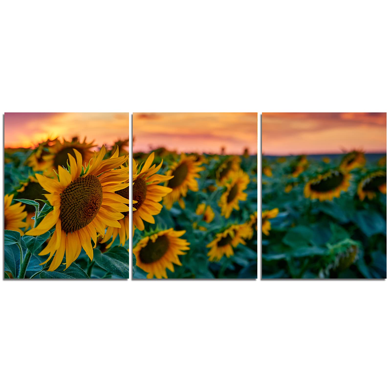 Joosem 3-Piece Sunset Sunflowers Field Landscape Canvas Wall Art - Modern Home Decor Prints for Living Room, Bedroom & Office - 12x16 Inch Framed Canvas Paintings - Perfect for Farmhouse, Boho & Contemporary Interior Design