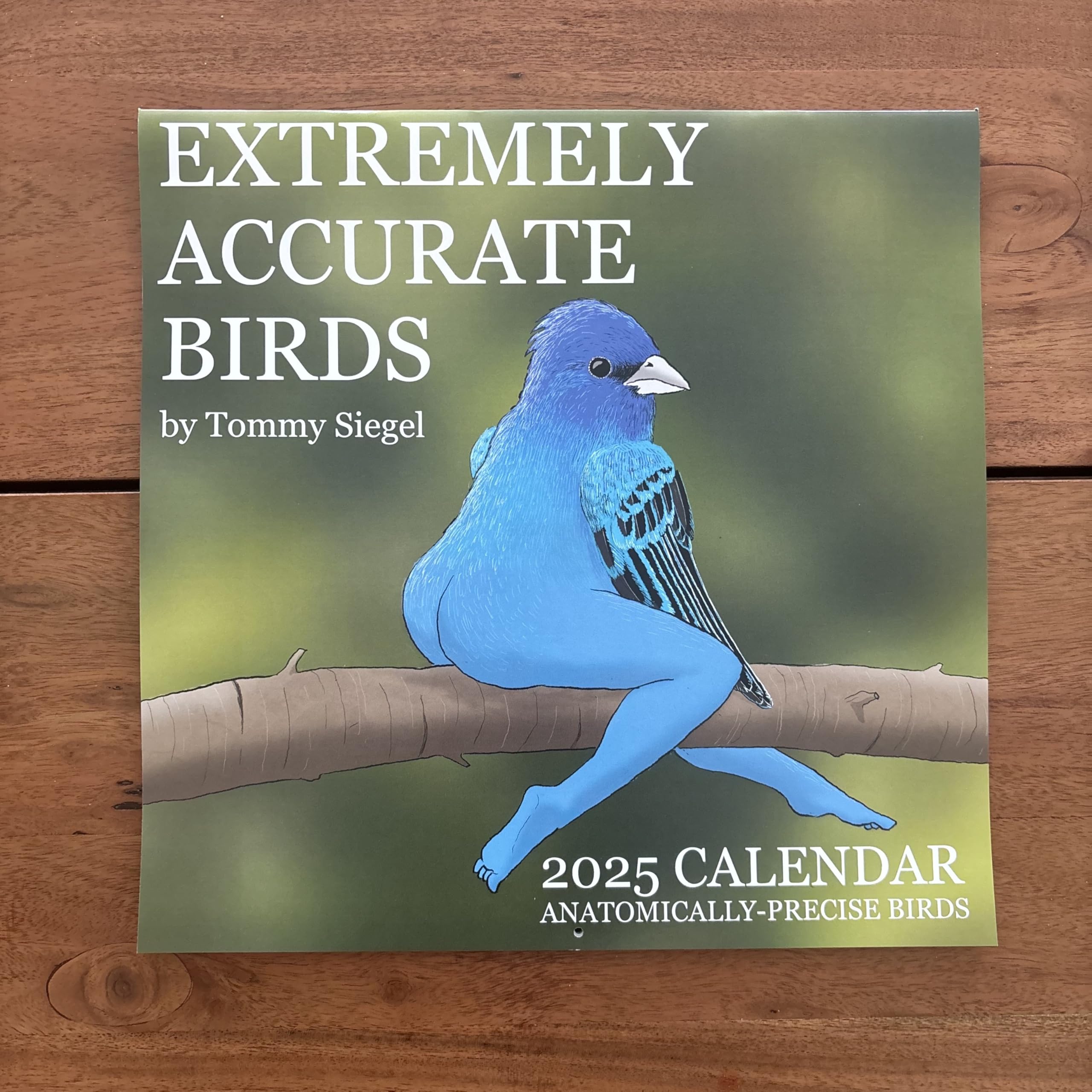 2025 Bird Lover's Calendar - Highly Accurate Avian Illustrations by Tommy Siegel | Perfect for Home, Office & Gifts for Bird Enthusiasts
