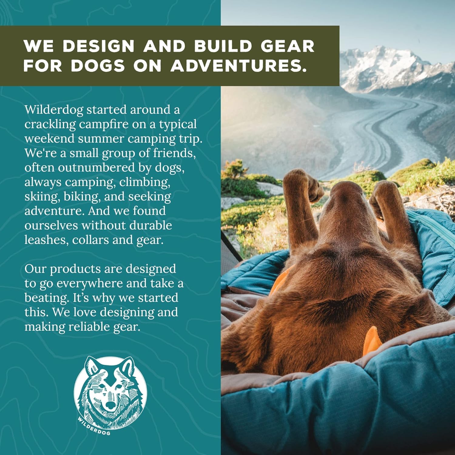 Wilderdog Heavy Duty Carabiner Climbing Rope Dog Leash for Medium & Large Dogs - 5ft Durable Leash with Locking Clip - Perfect for Hiking, Camping & Outdoor Adventures (Granite Color)