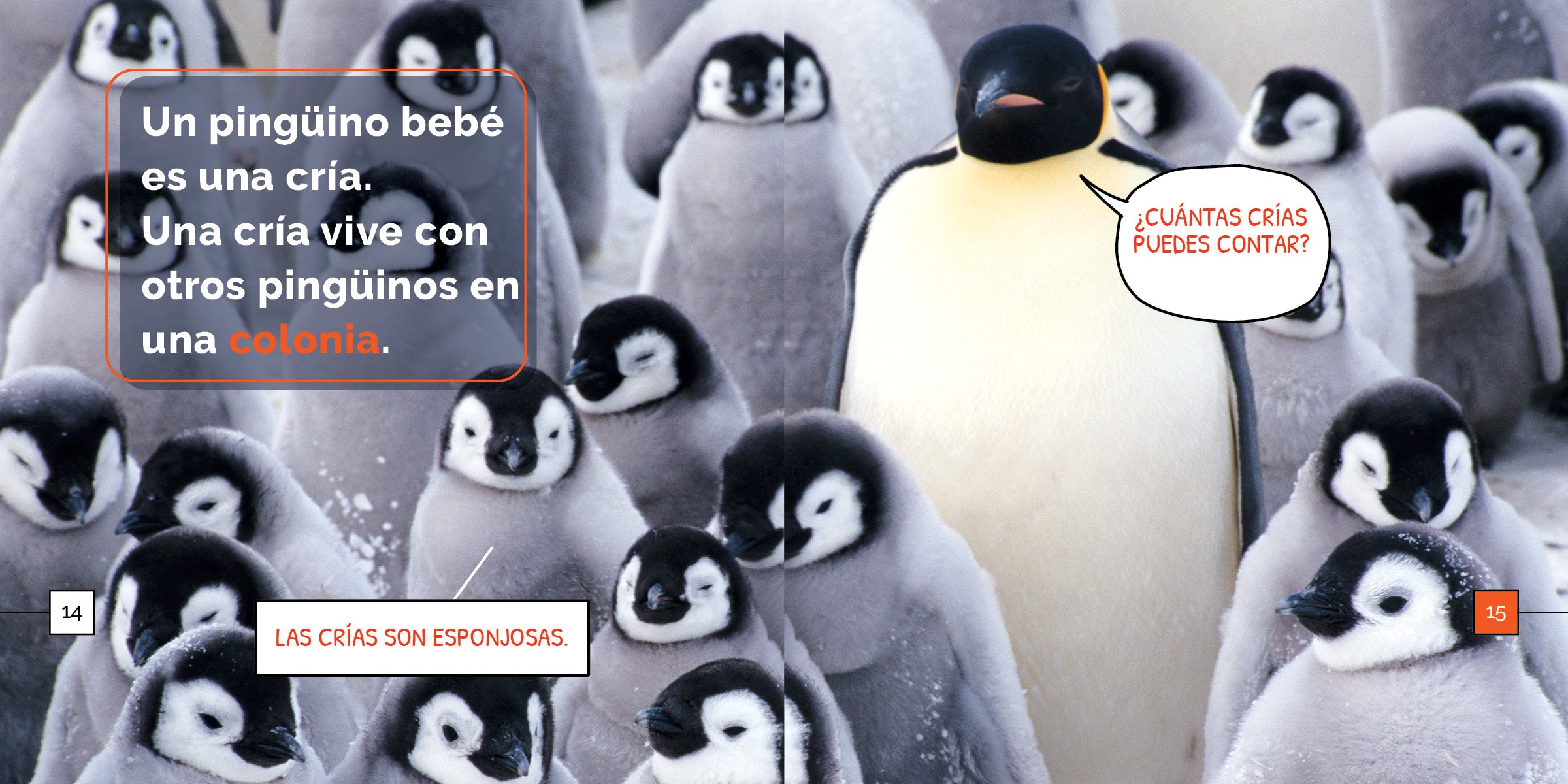 Los Pinguinos 9798889891017 - Adorable Penguin Plush Toy for Kids & Collectors | Perfect for Gifts, Room Decor, and Cuddling