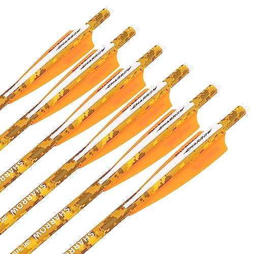 Orange & White (Type 2)