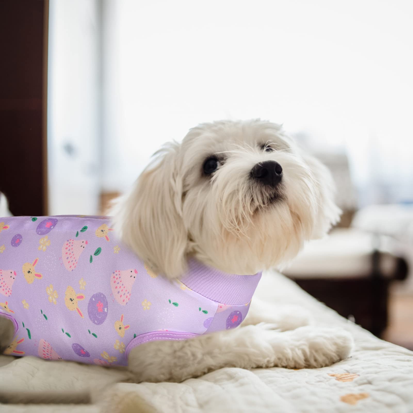 **ASENKU Easter Dog Onesie Pet Pajamas - Post-Surgery Recovery Suit for Dogs & Cats - Soft Bodysuit Costume for Small, Medium, Large Pets (Easter Theme, Size M) - Perfect for Holidays, Recovery & Playtime**