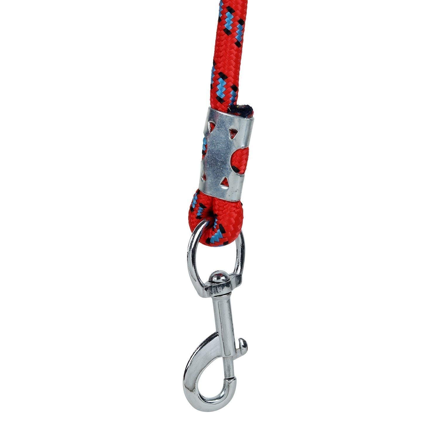 Premium Nylon Rope Dog Leash for Small Dogs & Puppies - 6mm Thick with Heavy-Duty Hook - Set of 2 (Colors May Vary) - Perfect for Walking, Training & Outdoor Adventures