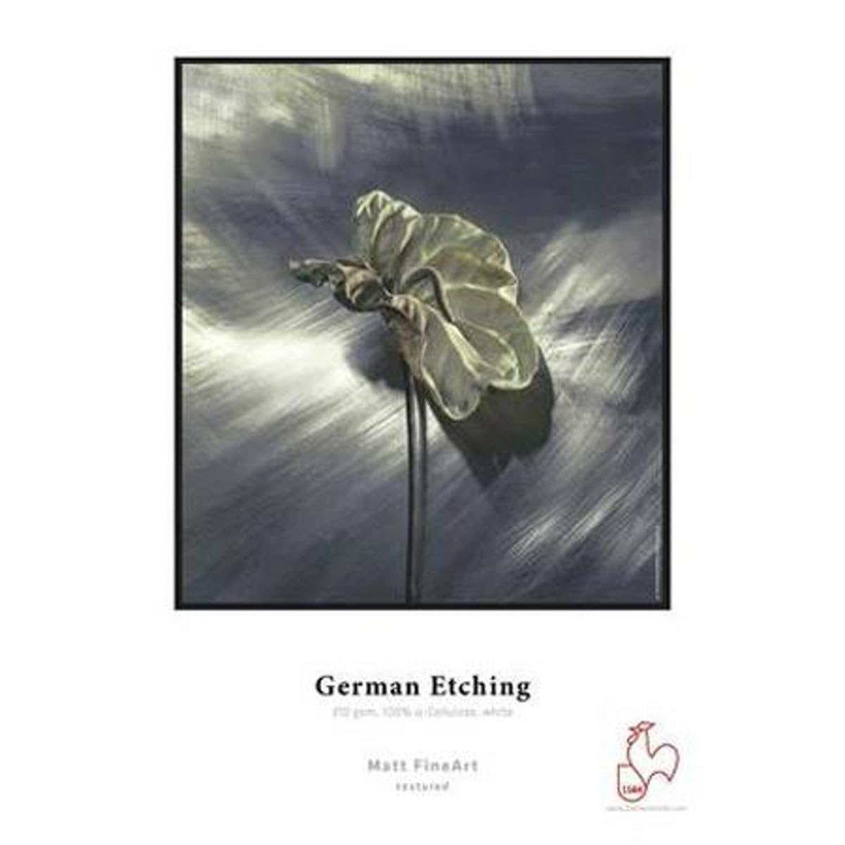 Hahnemuhle Matte German Etching Paper - 100% TCF Pulp, Natural White Inkjet Paper, 19.6 mil, 310 gsm, 17x22 Inches, 20 Sheets - Perfect for Fine Art Printing, Photography & Archival Projects