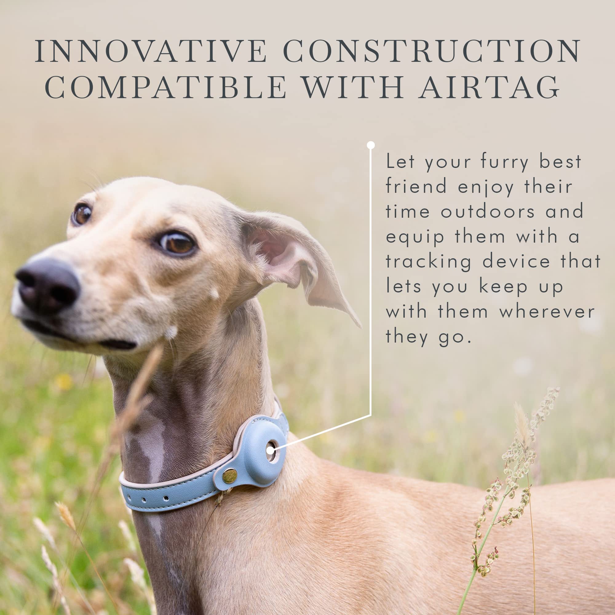 Vegan Leather Adjustable Dog Collar with Tracker Holder - XS Blue | Cupertino Pet Accessories for Small Dogs | Perfect for Daily Walks & Outdoor Adventures