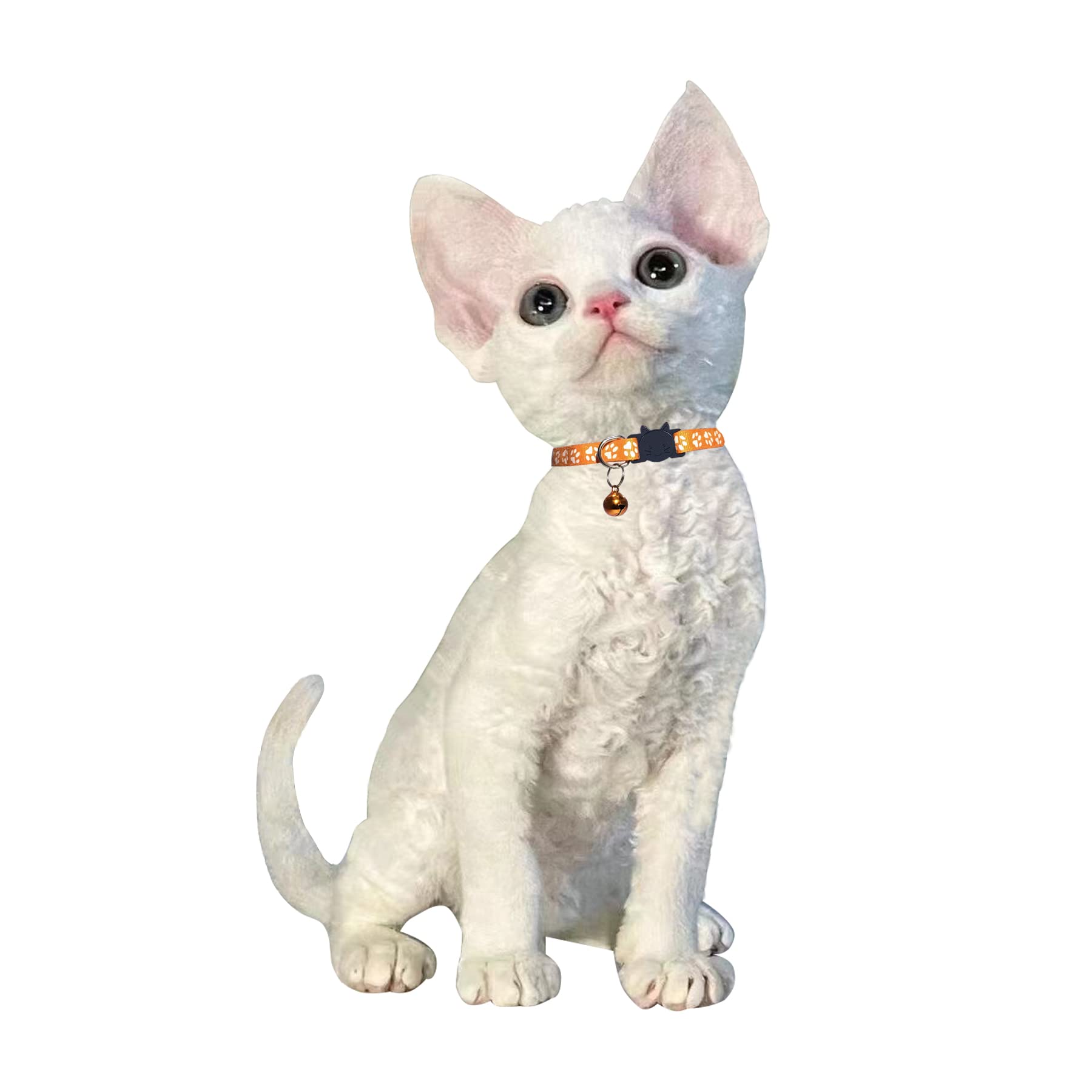 Breakaway Cat Collars with Bell - Reflective & Nylon Pet Collars for Cats & Puppies (2 Black + 2 Sky Blue) - Safe & Stylish for Day & Night Use