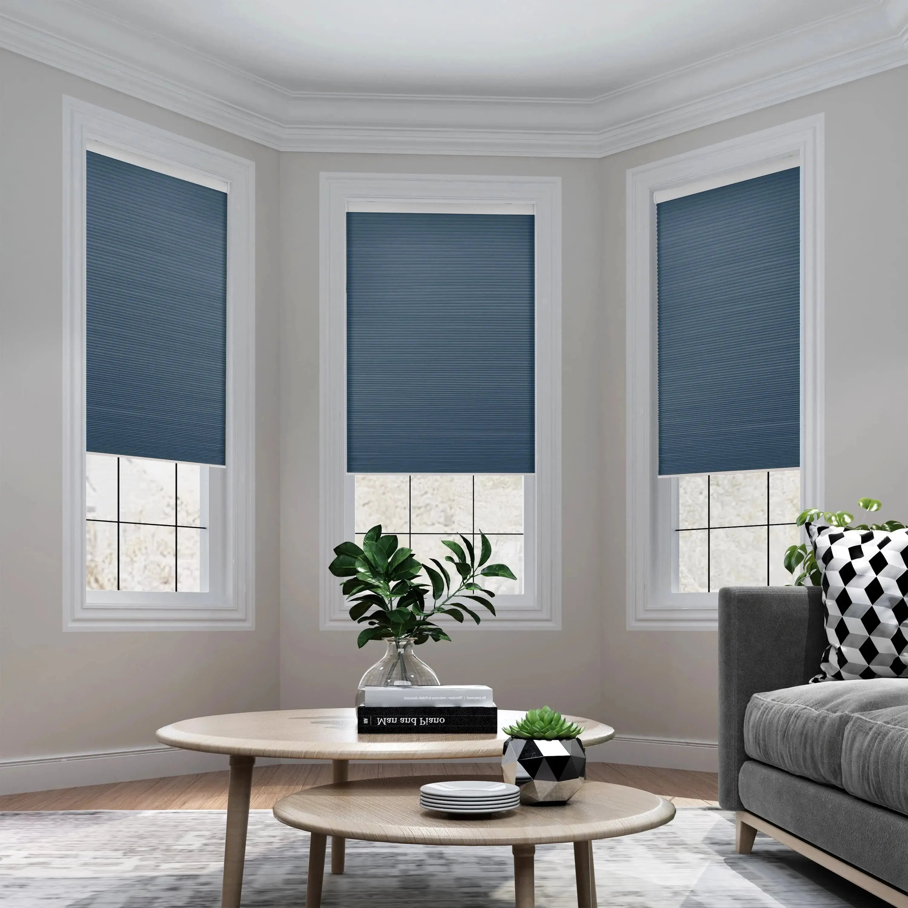 Blackout Cellular Shades for Windows - Cordless Honeycomb Blinds by Paola | Energy Efficient, Light Blocking, Noise Reducing | Perfect for Bedrooms, Nurseries & Home Offices