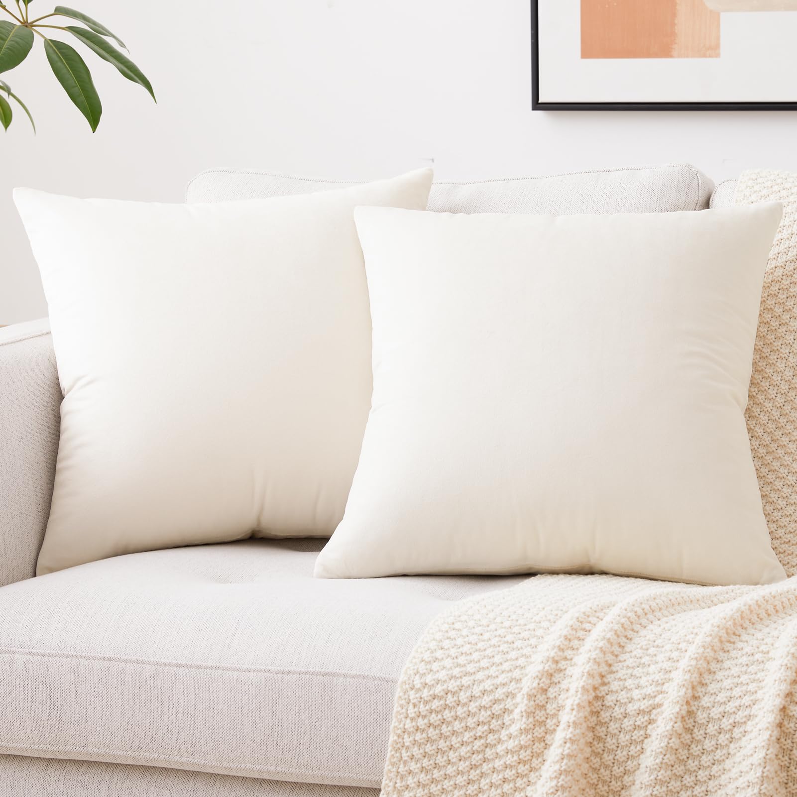 Mixhug Velvet Decorative Throw Pillow Covers - Soft Solid Cushion Cases for Couch, Sofa & Bed (20x20 Inches, Set of 2, Cream) - Perfect for Living Room Decor, Bedroom Accents & Cozy Home Styling