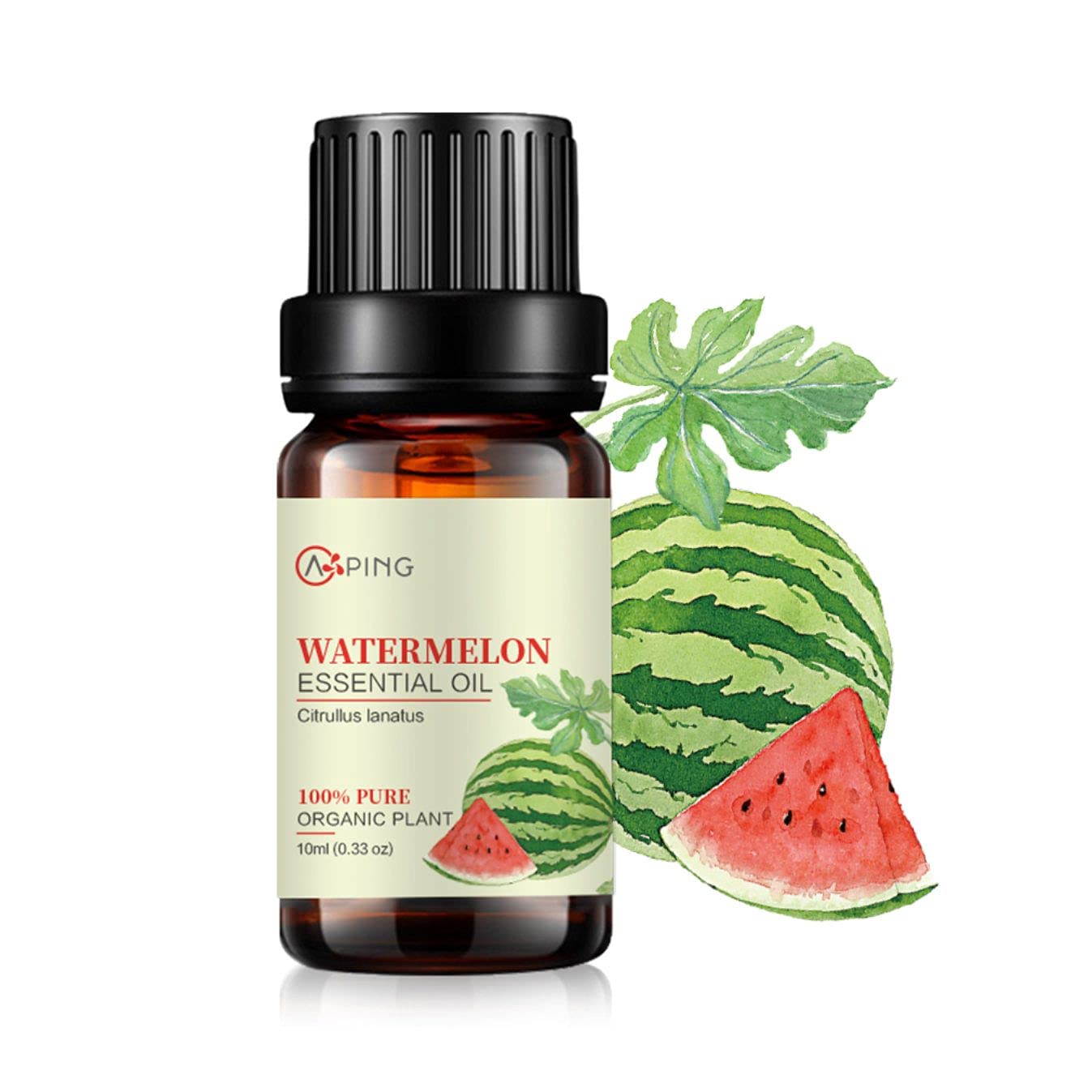 100% Pure Organic Watermelon Essential Oil (Citrullus lanatus) - Natural Aromatherapy Oil for Diffusers, Massage, Perfume & Skin Care - 0.33oz - Perfect for Relaxation, Spa & Home Fragrance