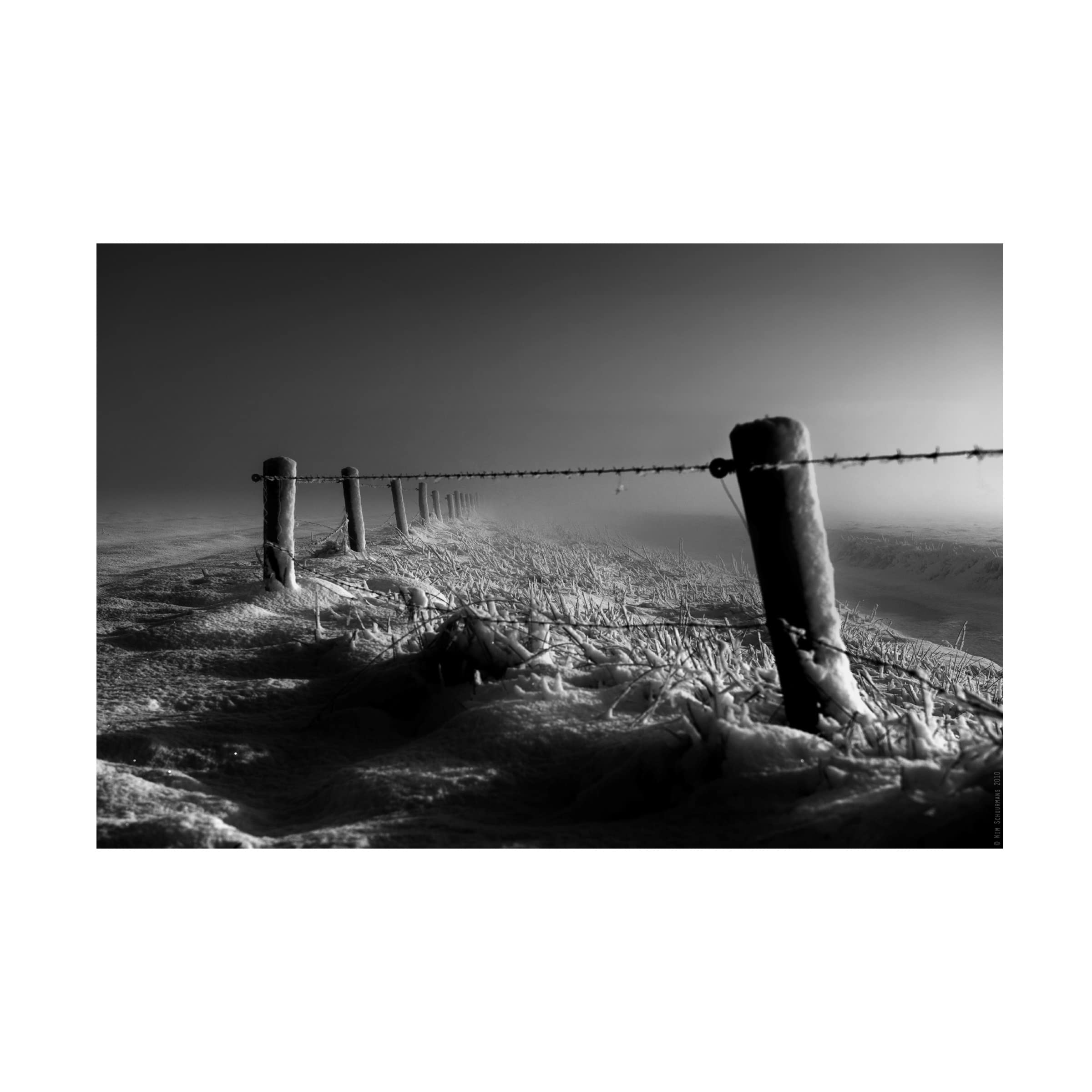 Trademark Fine Art 'Freezing' by Wim Schuurmans - Stunning Canvas Wall Art for Living Room, Bedroom & Office Decor