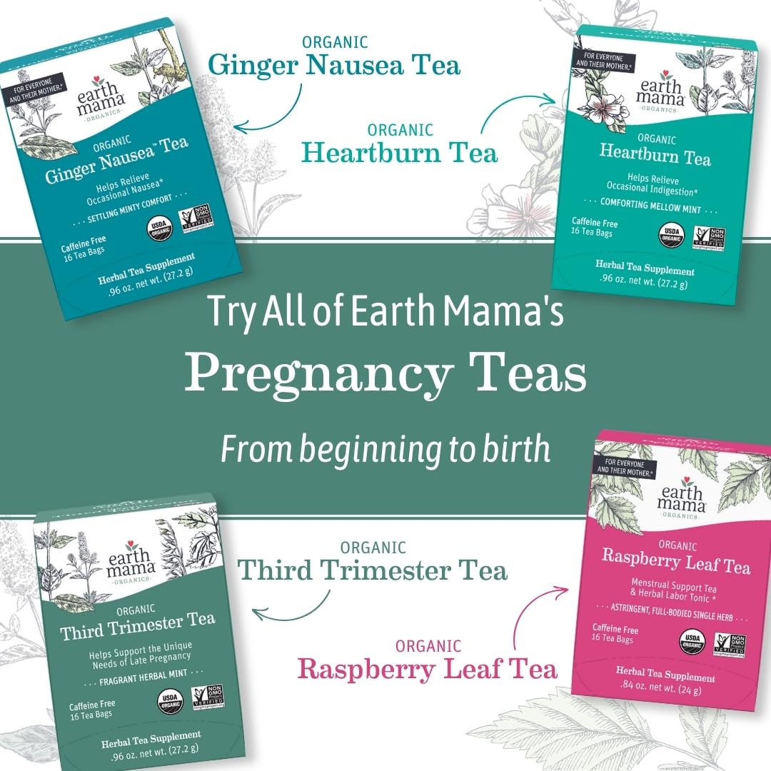 Earth Mama Organic Heartburn Tea - Pregnancy-Safe Herbal Tea with Marshmallow Root, Lemon Balm & Chamomile | 16 Count | Soothes Heartburn & Indigestion Naturally | Perfect for Expecting Moms & Nursing Mothers