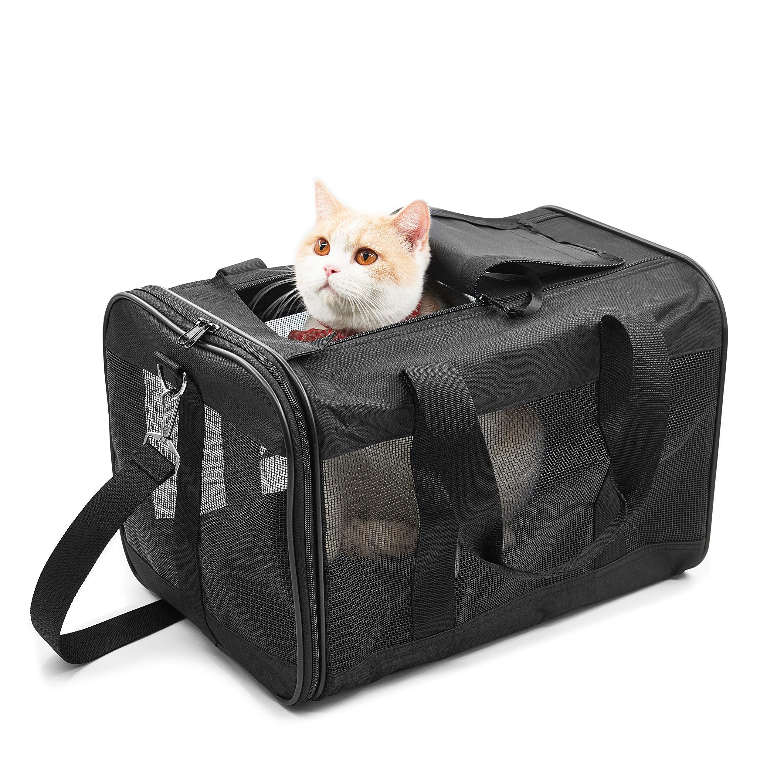 Soft-Sided Collapsible Pet Travel Carrier for Cats & Small Dogs - Airline Approved, Durable & Portable (Medium, Up to 17 lbs) - Perfect for Air Travel, Road Trips & Vet Visits