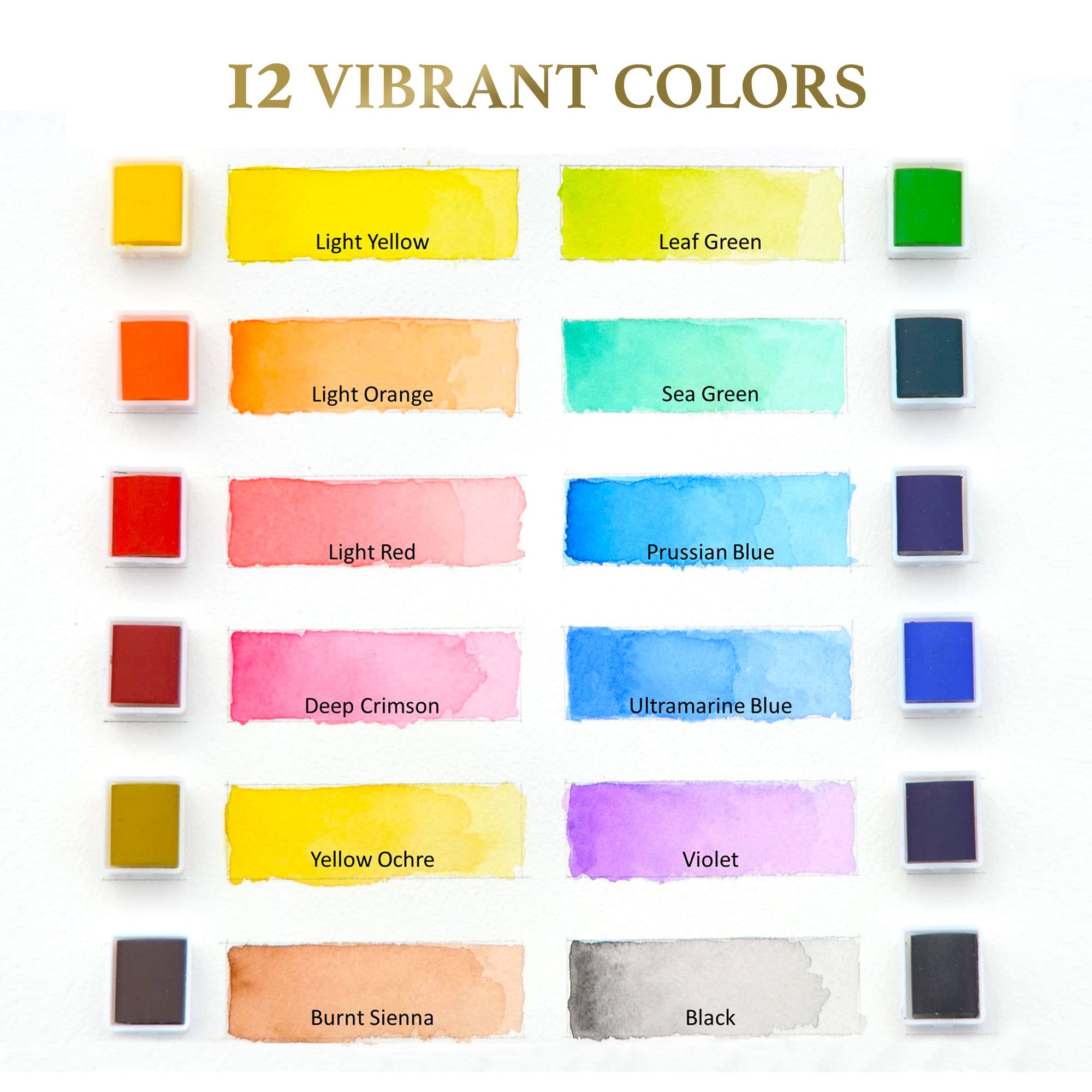 **SCHPIRERR FARBEN 12-Color Watercolor Paint Set with 5 Professional Size 20 Paint Brushes - Premium Watercolor Kit for Beginners & Artists - Perfect for Sketching, Painting & DIY Art Projects**