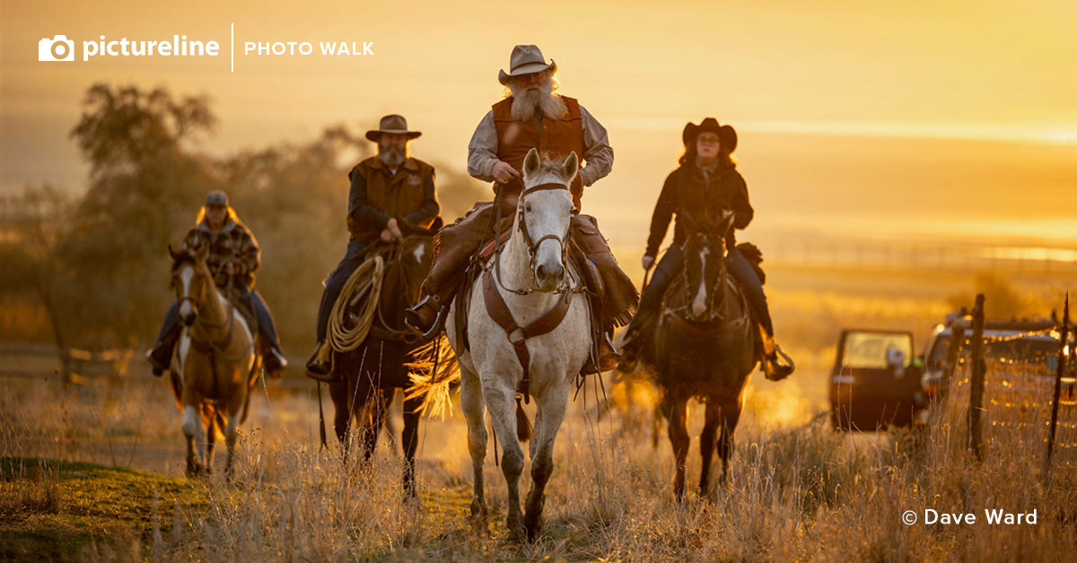 Bison Roundup Event at Antelope Island State Park - October 28, 2023 | Wildlife Adventure & Photography Opportunity