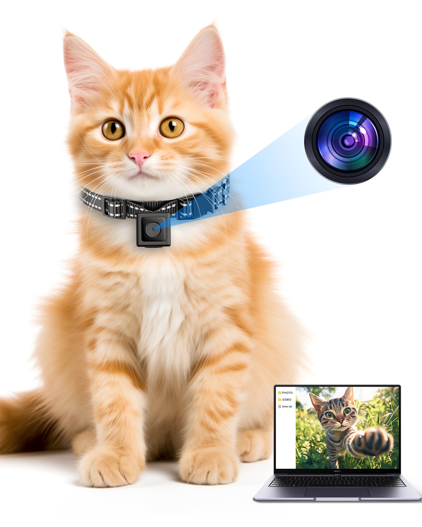 Pet Camera Collar - Cordless Video Recording for Cats & Small Dogs, Outdoor Use