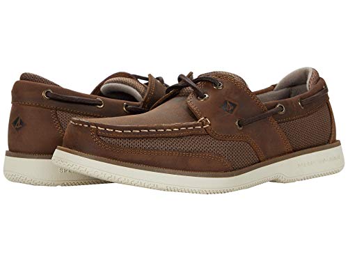 Dark Brown 1