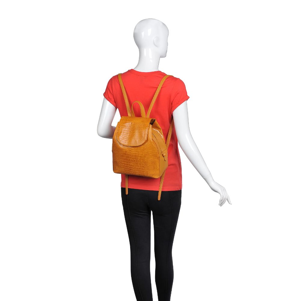 Clara - Premium Women's Fashion Apparel & Accessories | Online Shopping for Trendy Outfits, Dresses & Jewelry | Perfect for Parties, Work & Casual Wear