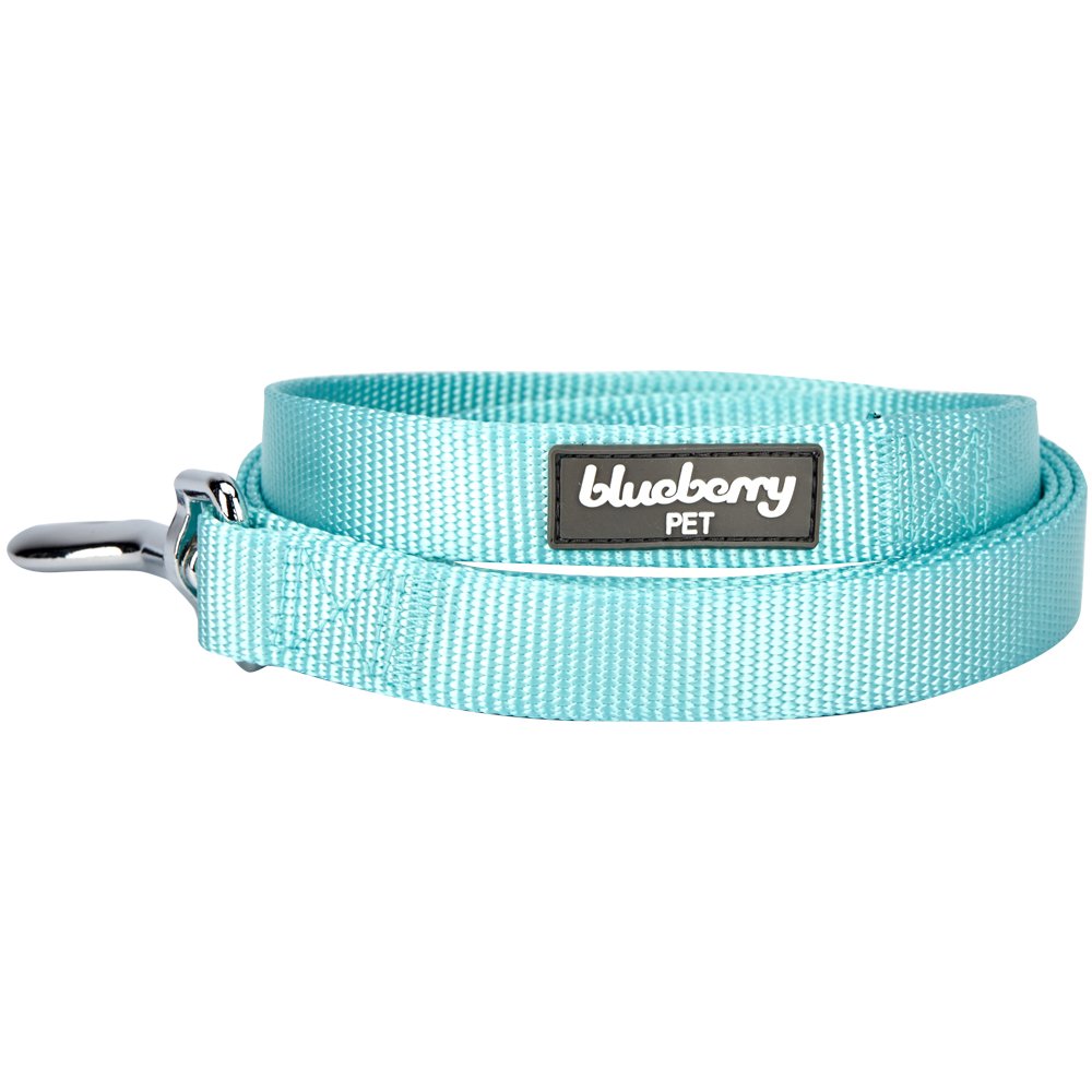 Durable Nylon Dog Leash for Large Dogs - 4ft x 1