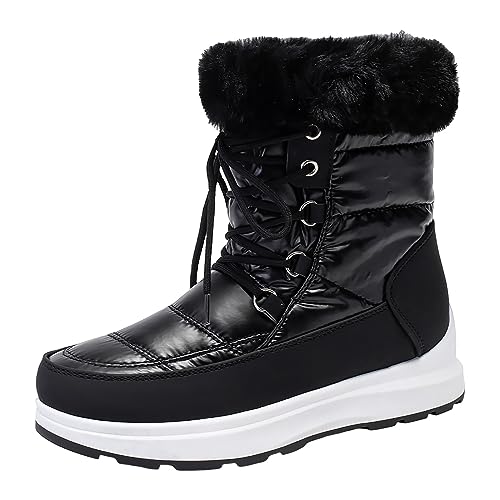 Ylt3 Black