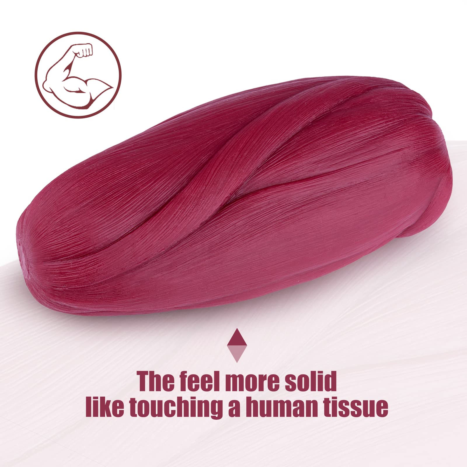 5 lb Human Body Muscle Replica Model - Anatomical Fitness Training Aid for Gym Enthusiasts, Athletes & Nutritionists | Perfect for Home Workout Motivation & Medical Education