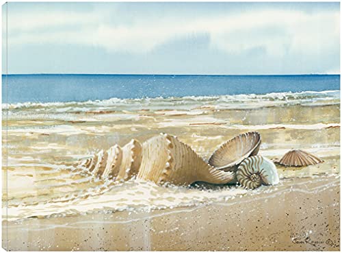 Seashells