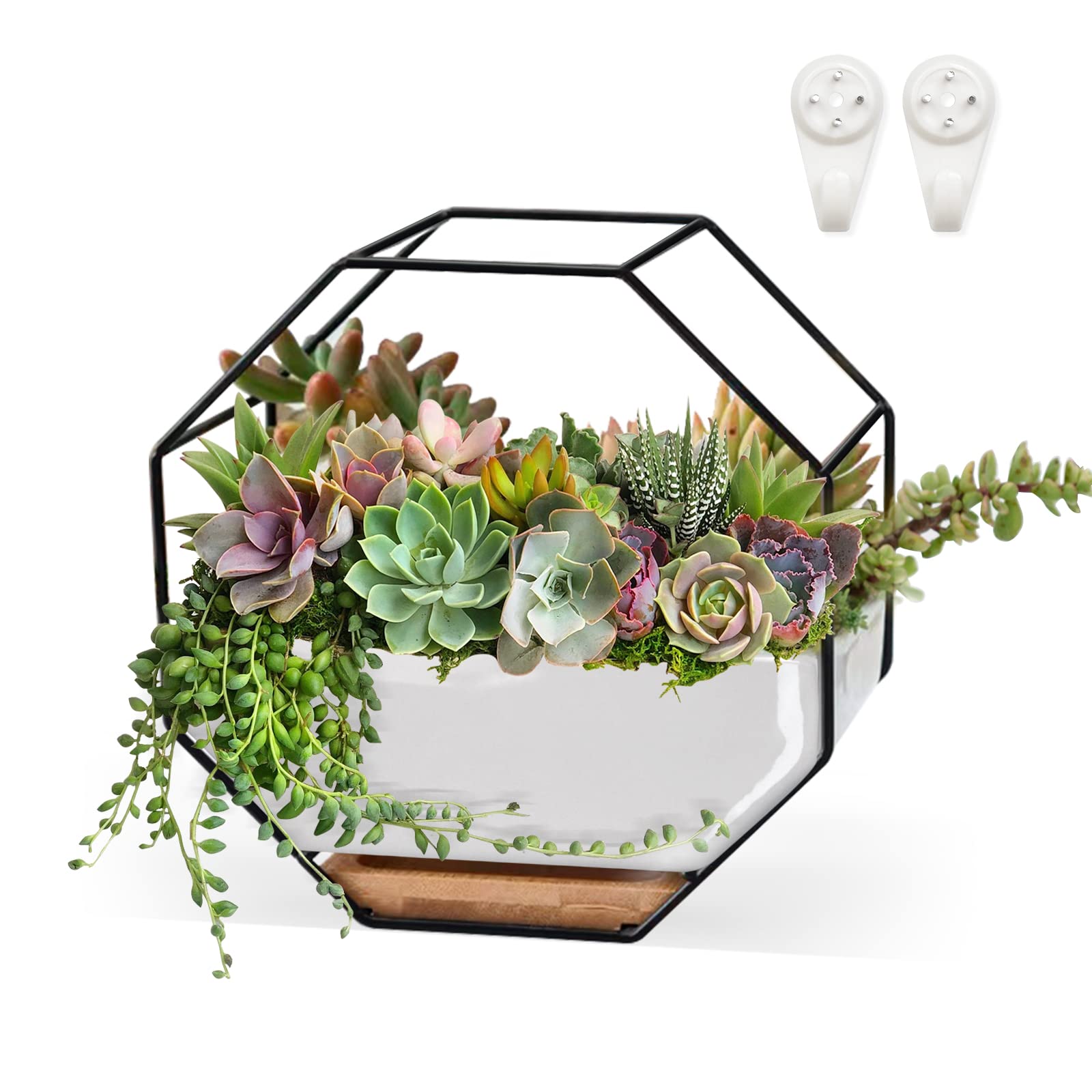 ChiRee 7×3.5 Inch Ceramic Succulent Planter with Metal Holder - Hanging & Tabletop Dual-Purpose Flower Pot with Drainage Hole & Saucer for Indoor Plants, Home, Office Desk Decor | Perfect for Small Succulents, Herbs & Air Plants in Living Room, Bathroom or Balcony