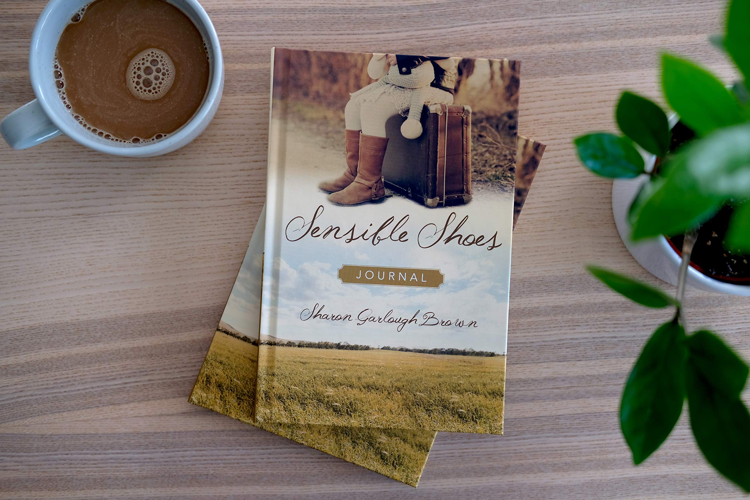 Sensible Shoes Journal - Inspirational Devotional for Women | Perfect for Bible Study, Prayer & Reflection | Sensible Shoes Series