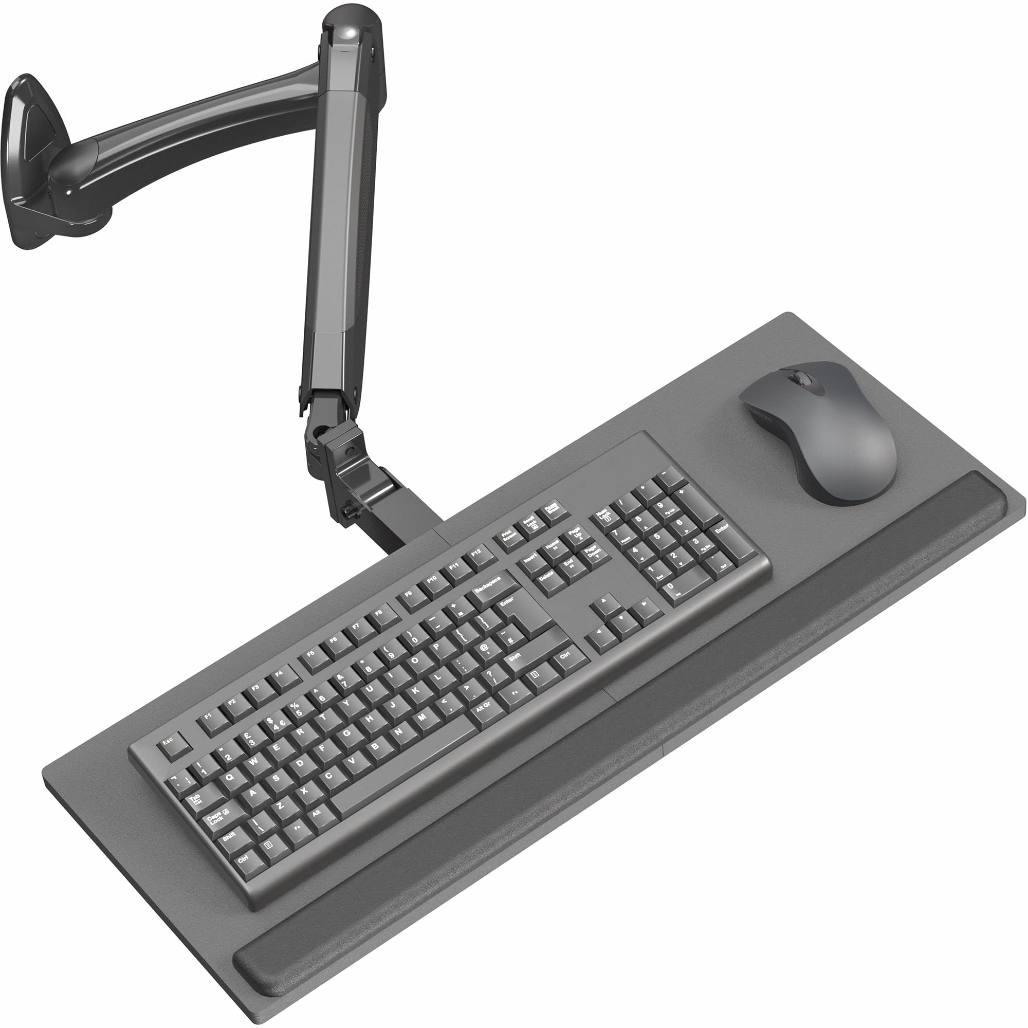 VIVO 24