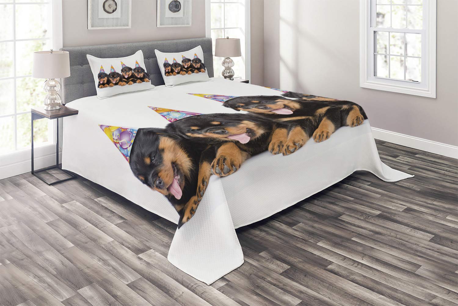 Ambesonne King Size 3-Piece Quilted Bedspread Set with 2 Pillow Shams - Rottweiler Puppies Birthday Party Art Print in Marigold & Black - Perfect for Dog Lovers' Bedroom Decor, Gift for Pet Owners, Cozy Home Accent