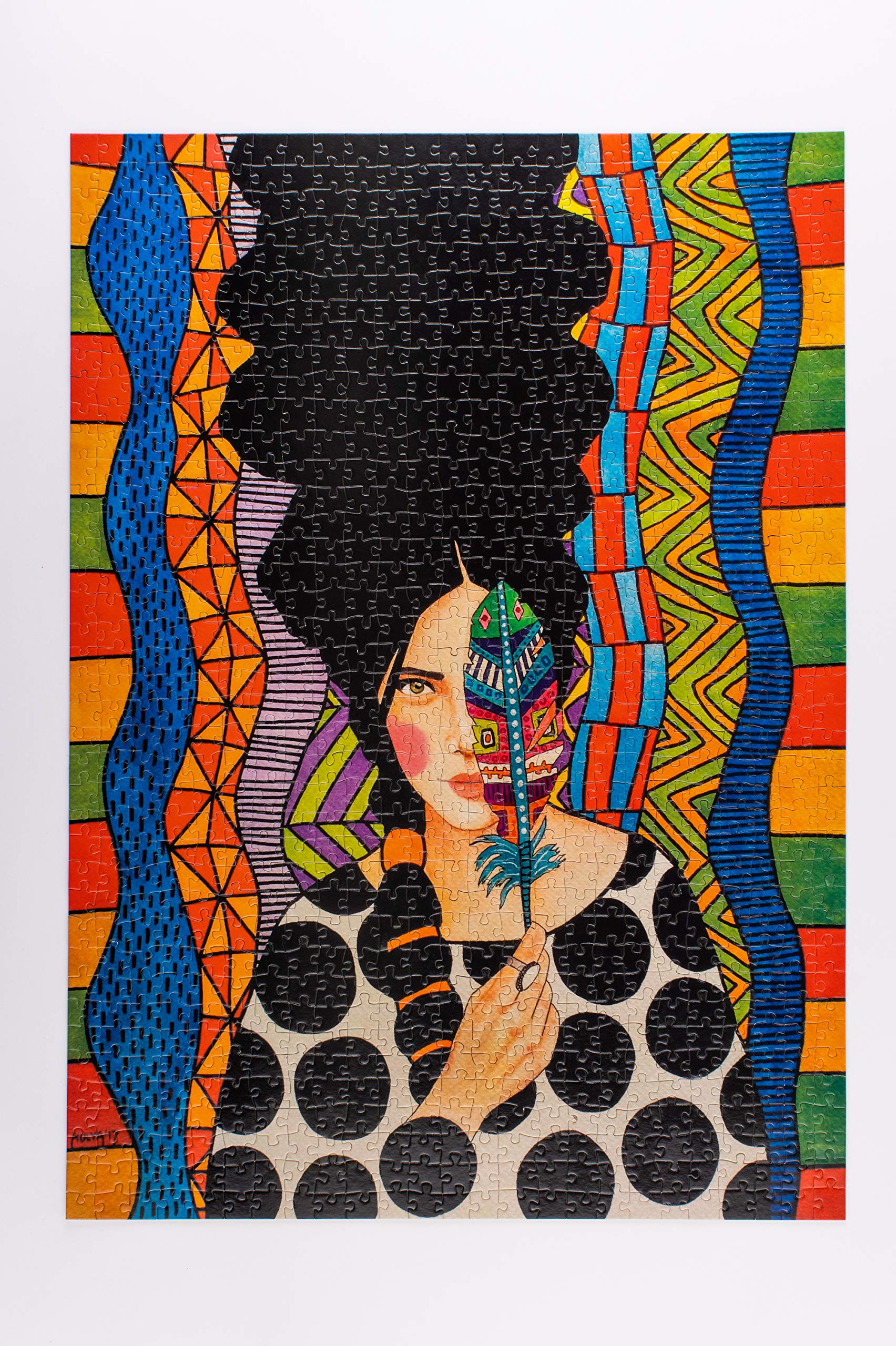 1000 Piece Adult Jigsaw Puzzle - Inner View by Wander Puzzle Co, Inspired by Turkish Artist Hülya Ozdemir | Challenging Puzzle for Adults | Perfect for Relaxation, Stress Relief & Family Game Night