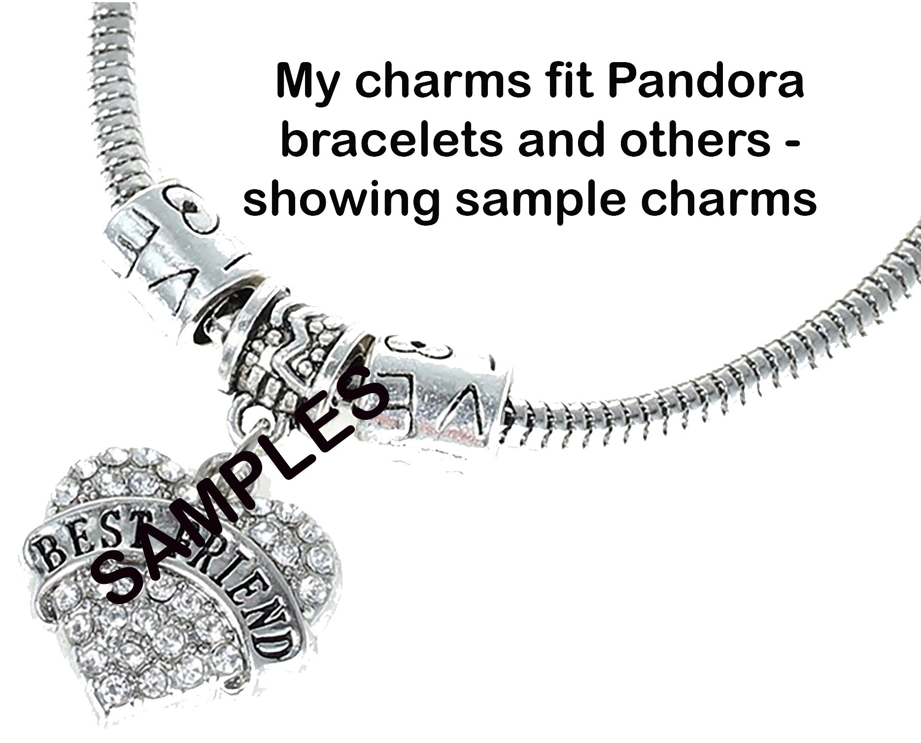 Silver Round Memory Charm for Modern Charm Bracelets - Perfect for Gifts, Keepsakes & Personalized Jewelry