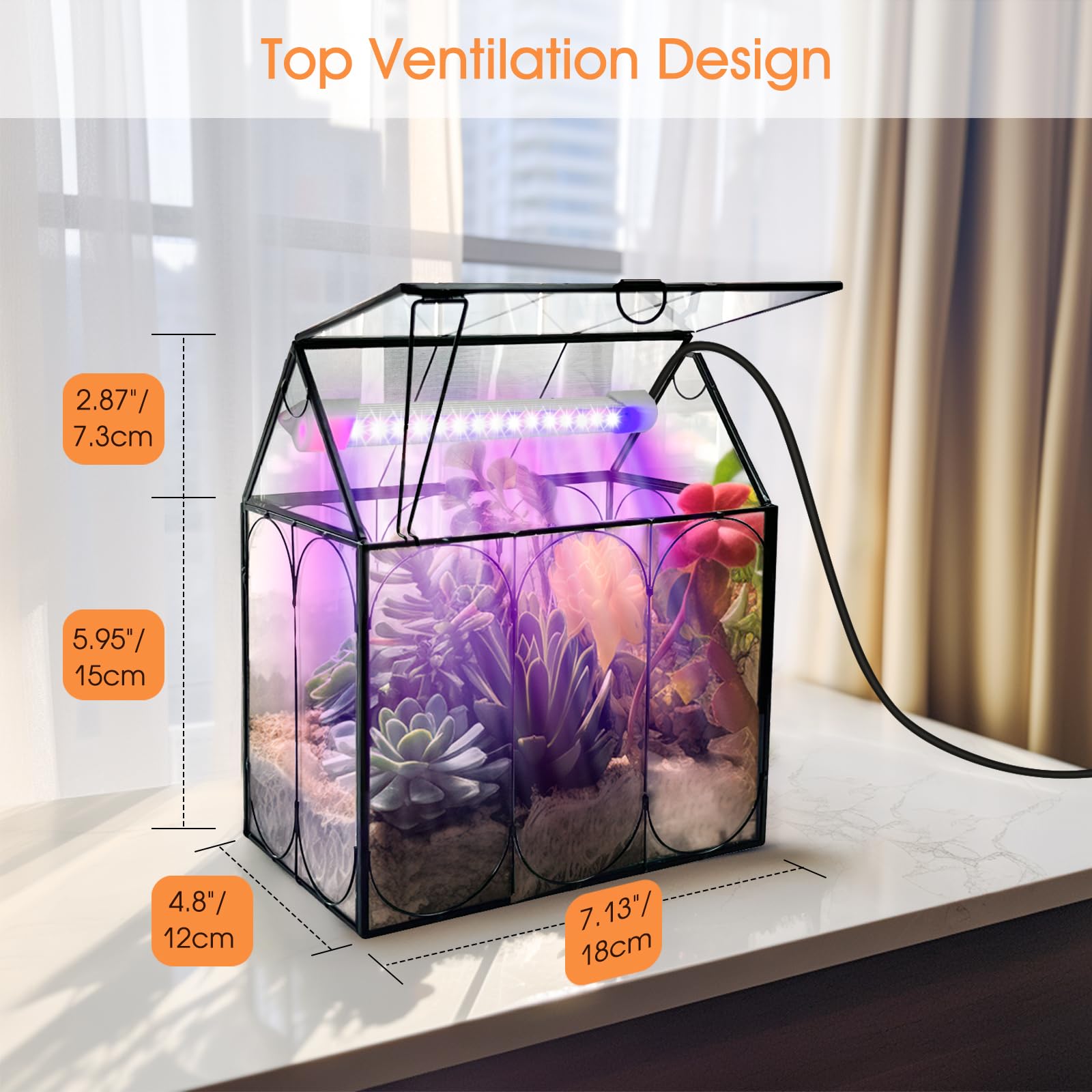 Rifny Indoor House Shape Glass Terrarium Kit with Grow Light & Lid - Small Plant Terrarium Jar for Venus Fly Trap, Succulents & Air Plants - Perfect Home & Office Decor (Plants Not Included) | Great for Desktop Decor, Gift Ideas & Indoor Gardening Enthusiasts