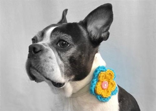 Handmade Crochet Dog Collar Flower - Multi-Layer Pet Accessory in Various Colors for Small & Medium Dogs - Perfect for Pet Weddings, Photo Shoots & Daily Walks